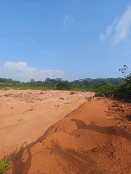 Agricultural Land for Sale in Bandar Penawar (Kota Tinggi) - Guang Jun Loh - PropertyGuru.com.my