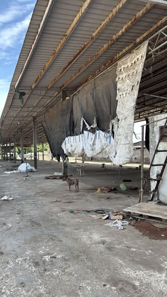 Kilang untuk Disewa di Juru (Penang) - Kelvin Ooi - Exterior - PropertyGuru.com.my