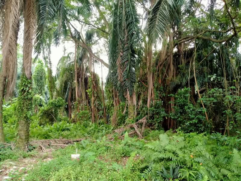 Hartanah Yang Lain untuk Dijual di Taman Sentosa (Klang) - Anan Mani - Interior - PropertyGuru.com.my