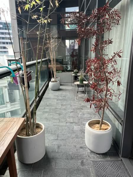 Kondominium untuk Disewa di Condominium @ The Troika - Sam Ho - Balcony - PropertyGuru.com.my