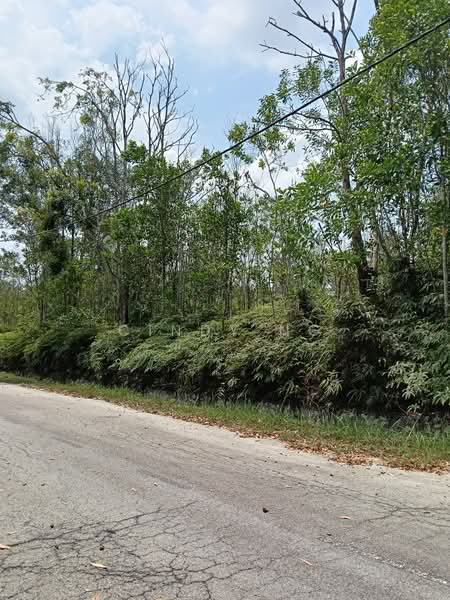 Residential Land for Sale in Alam Suria (Puncak Alam) - Cindy Ng - PropertyGuru.com.my