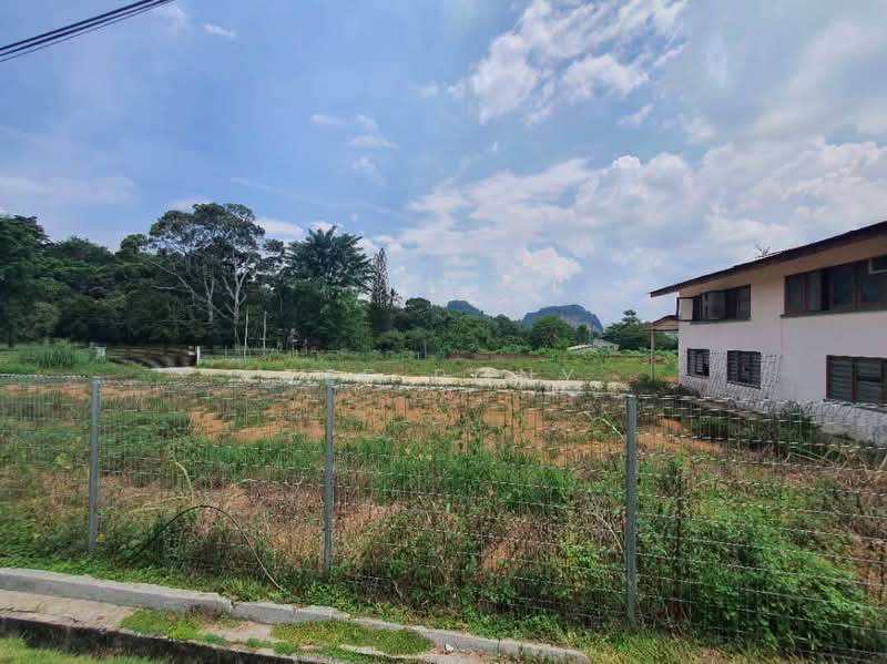 Agricultural Land for Sale in Tambun (Perak) - Tee Pony - PropertyGuru.com.my