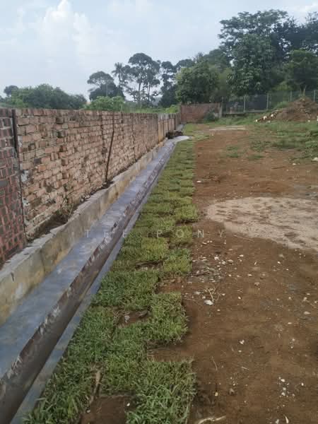 Agricultural Land for Sale in Tambun (Perak) - Tee Pony - PropertyGuru.com.my
