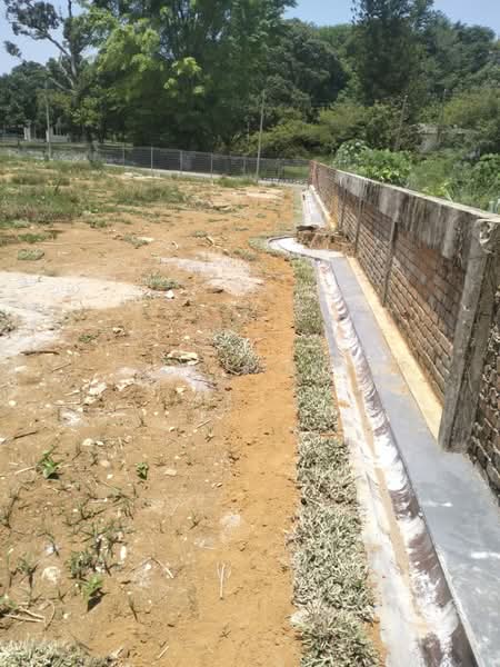 Agricultural Land for Sale in Tambun (Perak) - Tee Pony - PropertyGuru.com.my