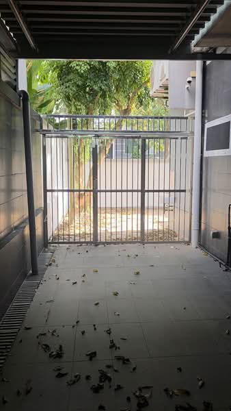Semi-Detached House for Sale in Bandar Damansara Perdana (Damansara Perdana) - Angel Lim - Wet Kitchen Backyard - PropertyGuru.com.my
