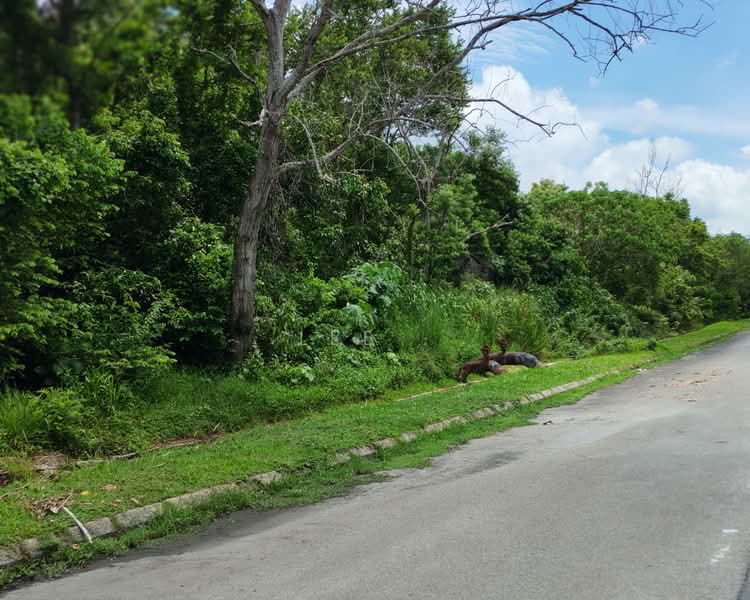 Tanah Perindustrian untuk Dijual di Alor Gajah (Melaka) - Lee . - Exterior - PropertyGuru.com.my