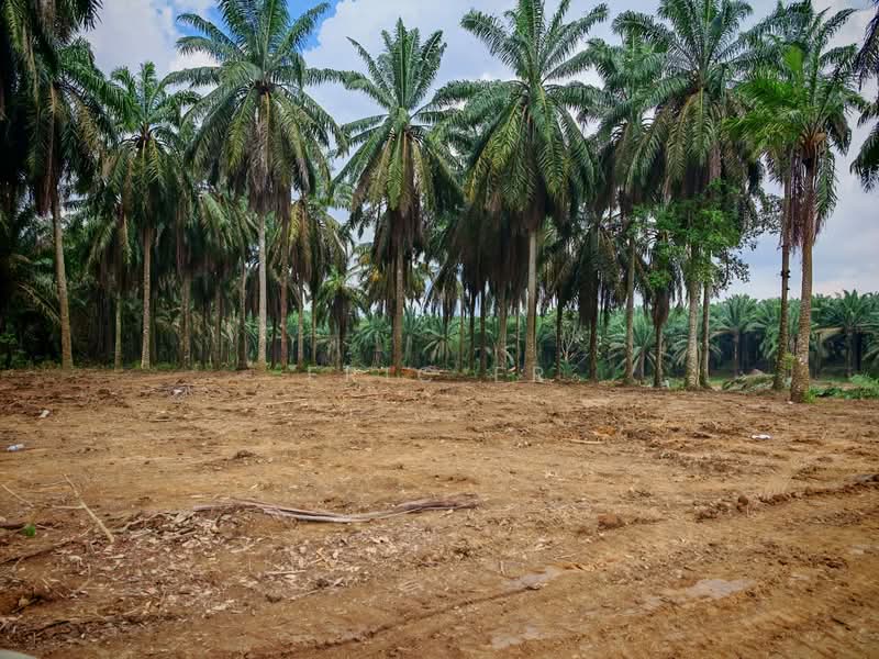 Tanah Perindustrian untuk Dijual di Kampung Seelong Jaya (Senai) - Eric Er - PropertyGuru.com.my