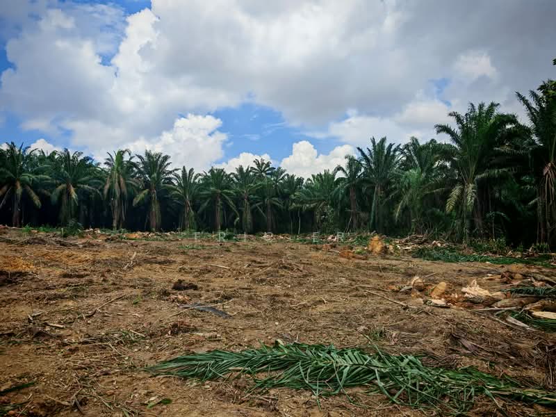 Tanah Perindustrian untuk Dijual di Kampung Seelong Jaya (Senai) - Eric Er - PropertyGuru.com.my
