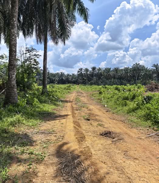 Tanah Perindustrian untuk Dijual di Kampung Seelong Jaya (Senai) - Eric Er - PropertyGuru.com.my