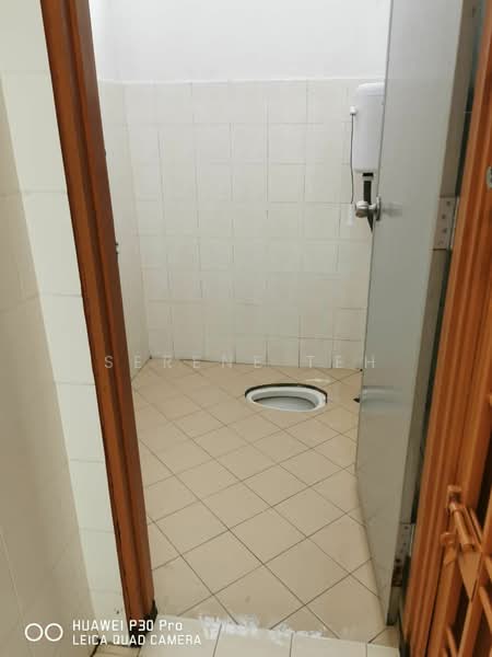 2-storey Terraced House for Sale in Taman Saleng (Kulai) - Serene Teh - Bathroom - PropertyGuru.com.my