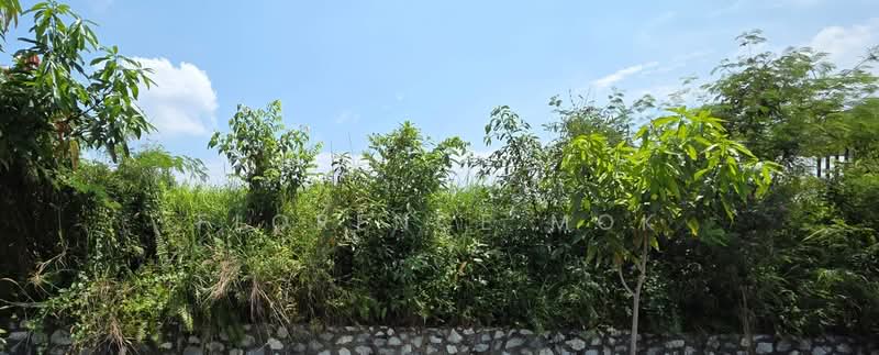 Bungalow Land for Sale in Taman Gembira (Jalan Klang Lama (Old Klang Road)) - Florence Mok - PropertyGuru.com.my