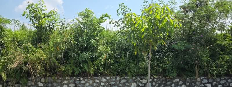 Bungalow Land for Sale in Taman Gembira (Jalan Klang Lama (Old Klang Road)) - Florence Mok - PropertyGuru.com.my