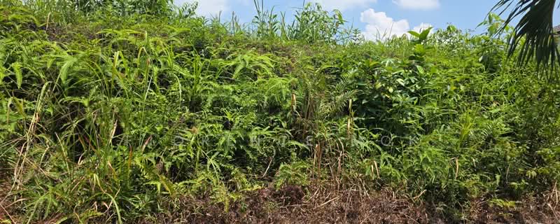 Bungalow Land for Sale in Taman Gembira (Jalan Klang Lama (Old Klang Road)) - Florence Mok - PropertyGuru.com.my