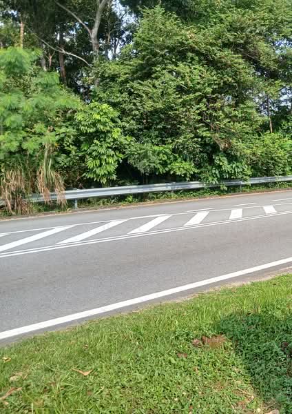 1-storey Terraced House for Rent in Bandar Baru Permas Jaya (Permas Jaya) - Jacqueline Lee - PropertyGuru.com.my