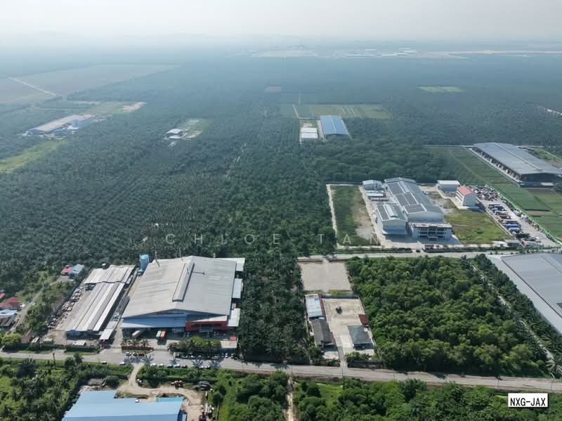 Agricultural Land for Sale in Kapar (Selangor) - Chloe Tan - PropertyGuru.com.my