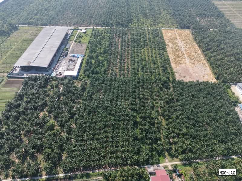 Agricultural Land for Sale in Kapar (Selangor) - Chloe Tan - PropertyGuru.com.my