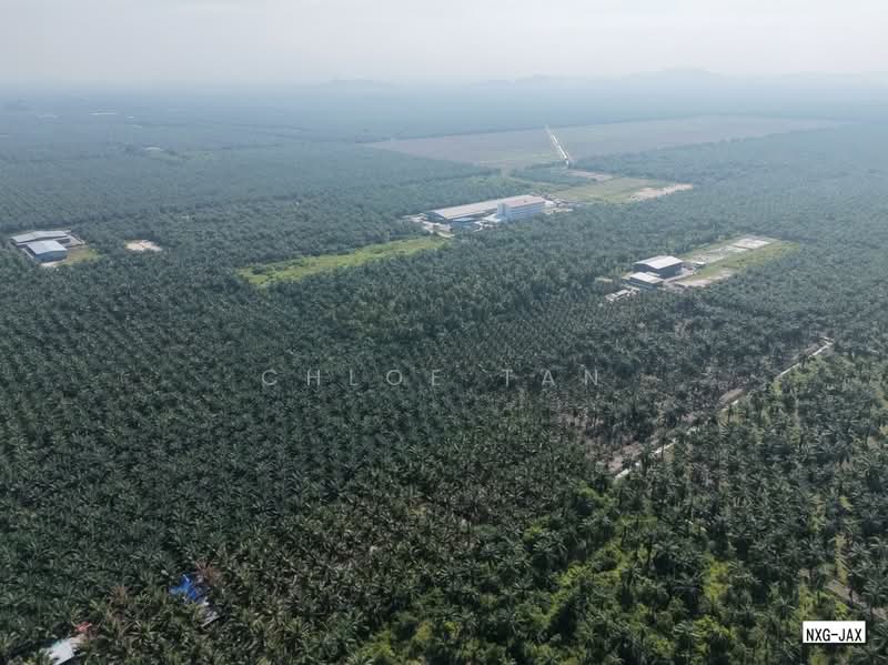 Agricultural Land for Sale in Kapar (Selangor) - Chloe Tan - PropertyGuru.com.my