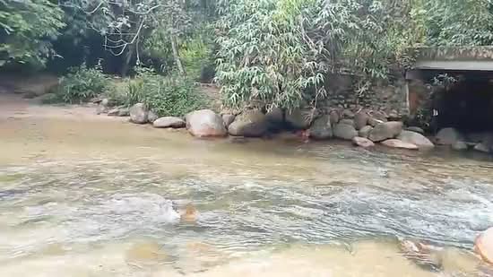Agricultural Land for Sale in Kuala Kubu Bharu (Selangor) - Shiqin Saidin - PropertyGuru.com.my