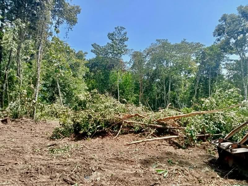 Agricultural Land for Sale in Kuala Kubu Bharu (Selangor) - Shiqin Saidin - Exterior - PropertyGuru.com.my