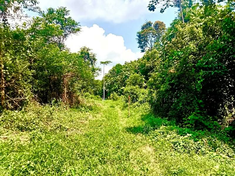 Agricultural Land for Sale in Kuala Kubu Bharu (Selangor) - Shiqin Saidin - PropertyGuru.com.my