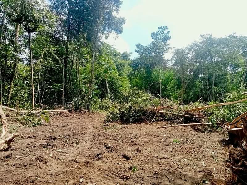 Agricultural Land for Sale in Kuala Kubu Bharu (Selangor) - Shiqin Saidin - Exterior - PropertyGuru.com.my