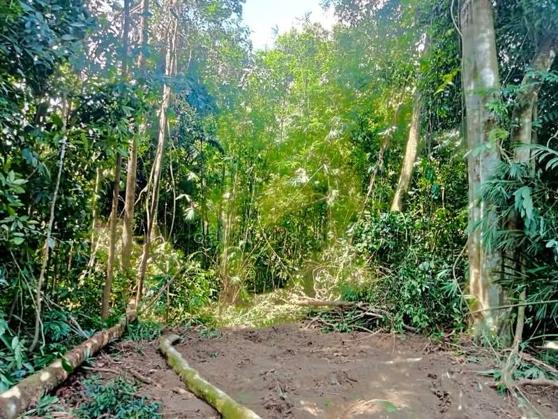 Agricultural Land for Sale in Kuala Kubu Bharu (Selangor) - Shiqin Saidin - Exterior - PropertyGuru.com.my
