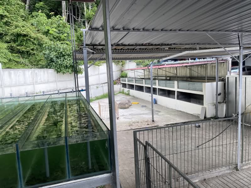 1-storey Terraced House for Sale in Taman Bukit Mutiara (Batu Pahat) - Lau Ee Xuan - PropertyGuru.com.my