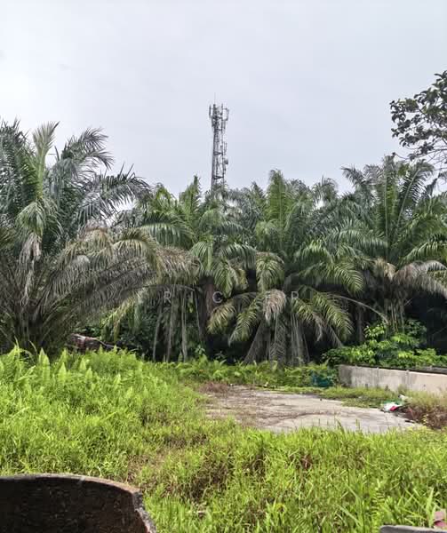 Agricultural Land for Sale in Rengit (Johor) - Eric Er - PropertyGuru.com.my