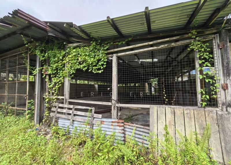 Agricultural Land for Sale in Rengit (Johor) - Eric Er - PropertyGuru.com.my