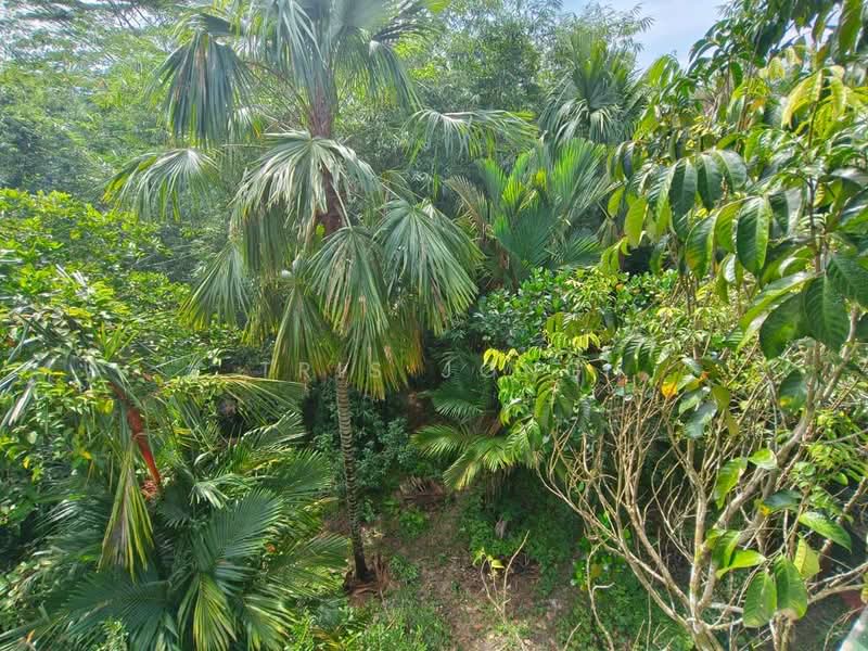 Agricultural Land for Sale in Kuala Kubu Bharu (Selangor) - Tris Jong - Exterior - PropertyGuru.com.my