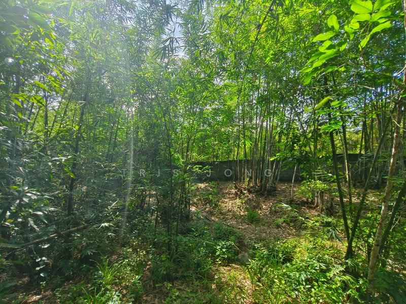 Agricultural Land for Sale in Kuala Kubu Bharu (Selangor) - Tris Jong - Exterior - PropertyGuru.com.my