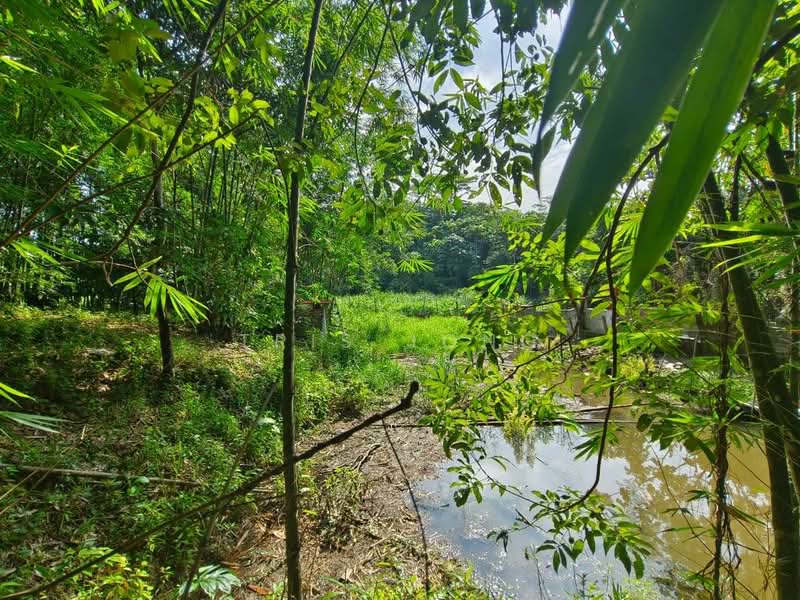 Agricultural Land for Sale in Kuala Kubu Bharu (Selangor) - Tris Jong - Exterior - PropertyGuru.com.my