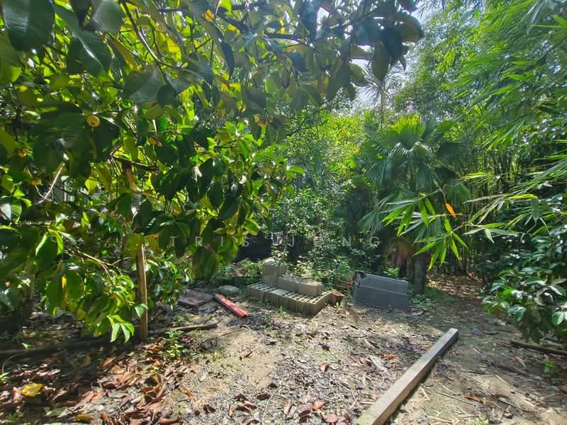 Agricultural Land for Sale in Kuala Kubu Bharu (Selangor) - Tris Jong - Garden - PropertyGuru.com.my