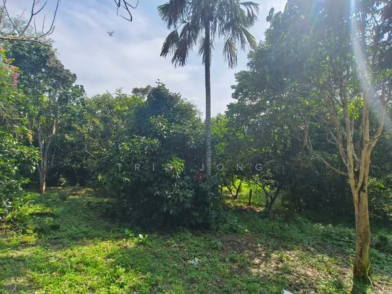 Agricultural Land for Sale in Kuala Kubu Bharu (Selangor) - Tris Jong - Exterior - PropertyGuru.com.my
