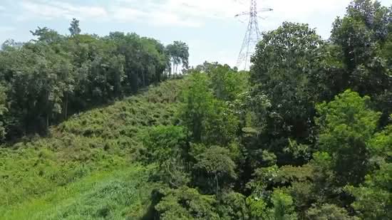 Agricultural Land for Sale in Mantin (Negeri Sembilan) - Lee Lay Shun - PropertyGuru.com.my