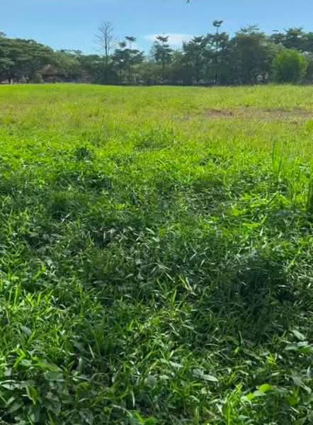 Tanah Pertanian untuk Dijual di Pontian (Johor) - Miya Goh - PropertyGuru.com.my
