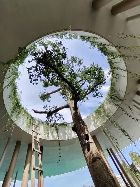 Kondominium untuk Disewa di Sunway Alishan Residences - Chris Lee - Exterior - PropertyGuru.com.my