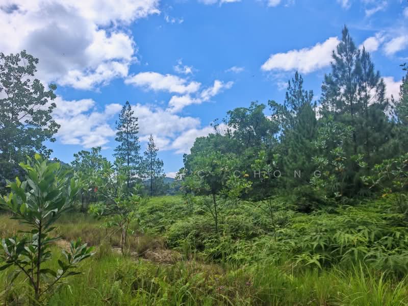 Tanah Kediaman untuk Dijual di Bukit Tinggi (Bentong) - Kendriic Chong - Garden - PropertyGuru.com.my