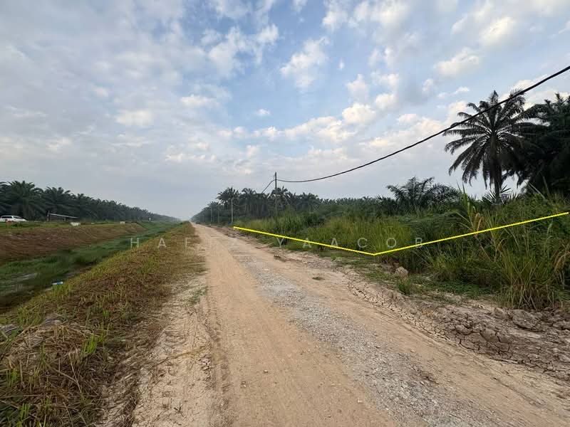 Agricultural Land for Sale in Banting (Selangor) - Hafiz Yaacob - Exterior - PropertyGuru.com.my