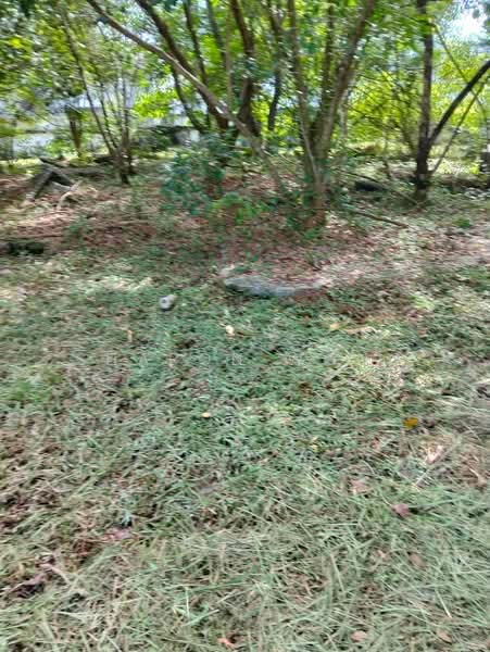 Residential Land for Sale in Taman Yarl (Jalan Klang Lama (Old Klang Road)) - Sharon Wong - Exterior - PropertyGuru.com.my