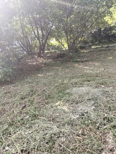 Residential Land for Sale in Taman Yarl (Jalan Klang Lama (Old Klang Road)) - Sharon Wong - Garden - PropertyGuru.com.my