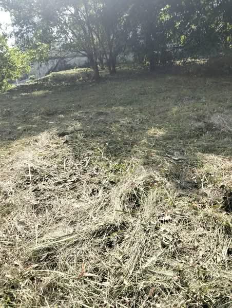 Residential Land for Sale in Taman Yarl (Jalan Klang Lama (Old Klang Road)) - Sharon Wong - Exterior - PropertyGuru.com.my