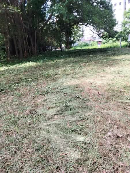 Residential Land for Sale in Taman Yarl (Jalan Klang Lama (Old Klang Road)) - Sharon Wong - Garden - PropertyGuru.com.my
