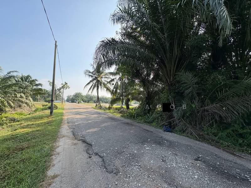 Agricultural Land for Sale in Kampung Seri Cheeding (Tanjong Duabelas) - Hafiz Yaacob - Exterior - PropertyGuru.com.my