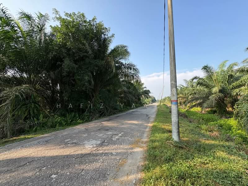 Agricultural Land for Sale in Kampung Seri Cheeding (Tanjong Duabelas) - Hafiz Yaacob - Exterior - PropertyGuru.com.my