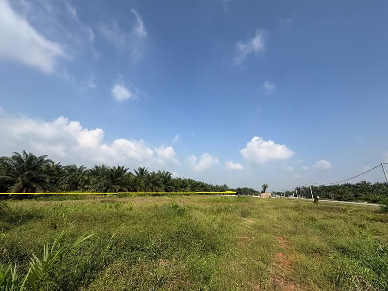 Agricultural Land for Sale in Kampung Seri Cheeding (Tanjong Duabelas) - Hafiz Yaacob - Exterior - PropertyGuru.com.my
