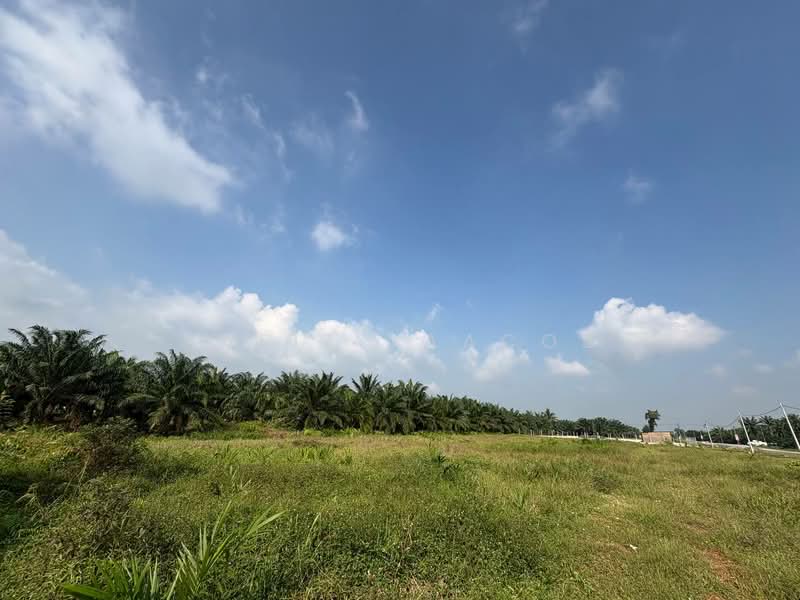 Agricultural Land for Sale in Kampung Seri Cheeding (Tanjong Duabelas) - Hafiz Yaacob - Exterior - PropertyGuru.com.my