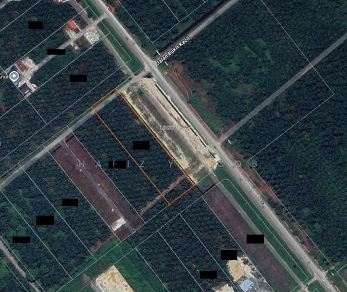 Agricultural Land for Sale in Kampung Seri Cheeding (Tanjong Duabelas) - Hafiz Yaacob - PropertyGuru.com.my