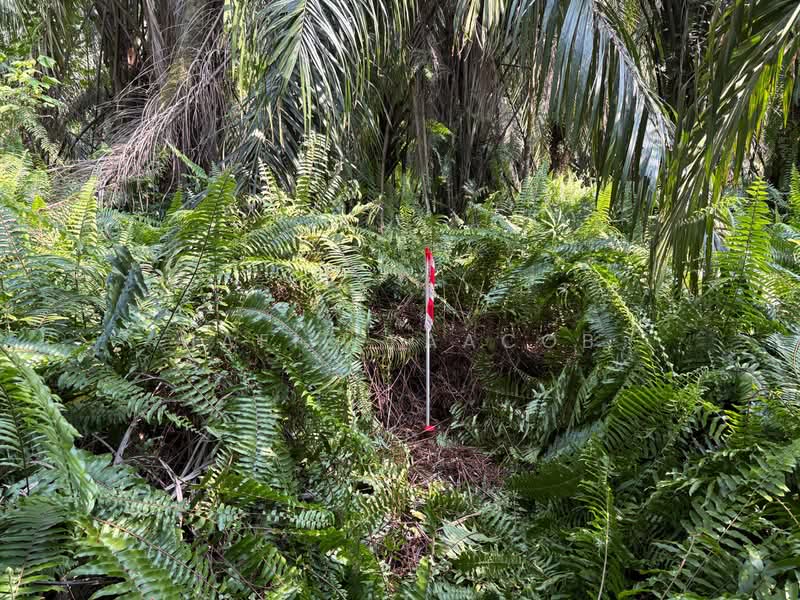 Agricultural Land for Sale in Banting (Selangor) - Hafiz Yaacob - PropertyGuru.com.my
