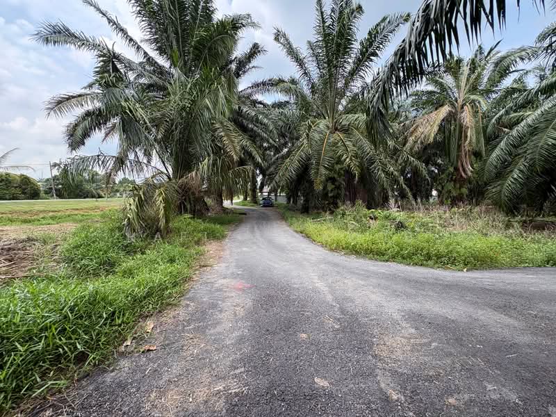 Agricultural Land for Sale in Kampung Sungai Lang (Banting) - Hafiz Yaacob - Exterior - PropertyGuru.com.my